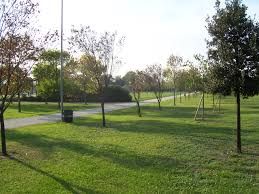 A Mirafiori sud prove generali di città &quot;verde&quot;