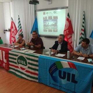 Vertenza Torino, si torna il piazza il 12 settembre: "Il Covid ha peggiorato tutto: in Piemonte un milione di cassintegrati su 1,8 milioni di lavoratori" Vertenza Torino, si torna il piazza il 12 settembre: "Il Covid ha peggiorato tutto: in Piemonte un milione di cassintegrati su 1,8 milioni di lavoratori"