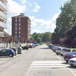 Al via domani intervento di cura dell'alberata di via Sospello
