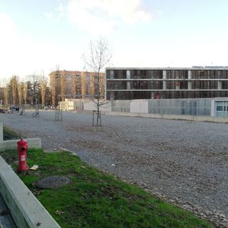 Viale Ottavio Mai, da area di passaggio a spazio strategico per l'Università e Vanchiglia