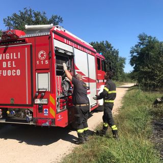 Nichelino, incendio al Boschetto: vigili del fuoco e polizia locale evitano il peggio Nichelino, incendio al Boschetto: vigili del fuoco e polizia locale evitano il peggio