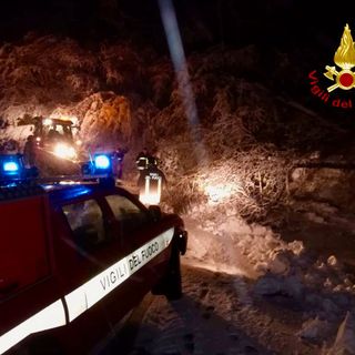 Nevicate abbondanti in quota: i vigili del fuoco in azione per rimuovere gli alberi pericolanti. Disagi verso il Moncenisio: chiusura a Giaglione [FOTO]