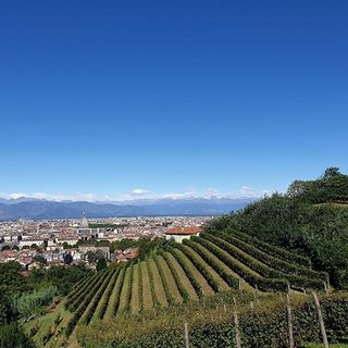Direzioni regionale Musei lancio il bando per la concessione dell’antica vigna di Villa della Regina