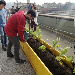Anche il Poli si regala la sua vigna urbana: un laboratorio per prendersi cura del buon vino (FOTO e VIDEO)