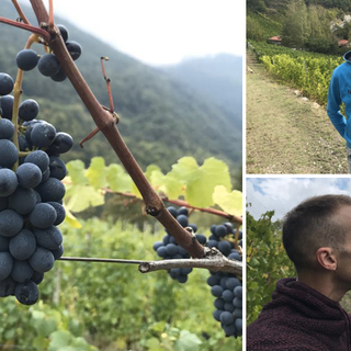 La strada dei vigneti alpini fa tappa in Val Susa: “Qui noi giovani viticoltori vogliamo ripopolare la montagna” [VIDEO e FOTO]