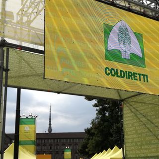 Coldiretti: ''Urgente approvare legge per proteggere territorio piemontese&quot;​