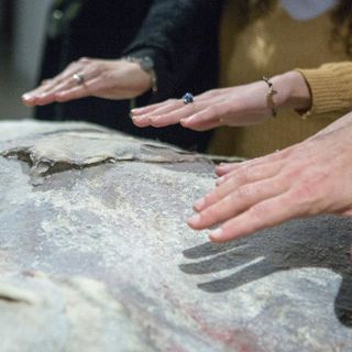 Visite per disabili visivi e concerti alla Fondazione Sandretto Re Rebaudengo