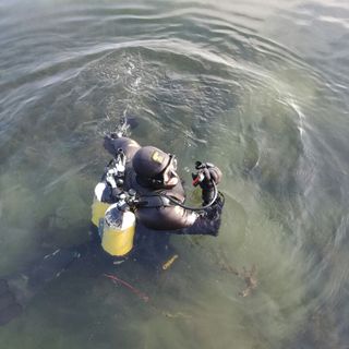 Nel lago di Viverone un villaggio antico sommerso (FOTO)