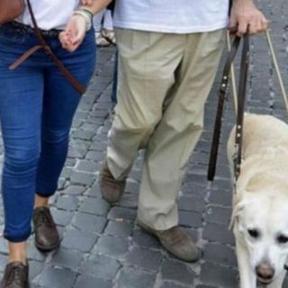 Cieco con il cane