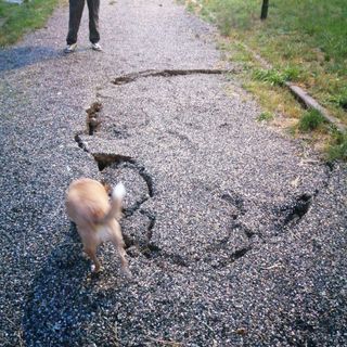 Si apre una seconda voragine nel giardino di via Faccioli/Drosso