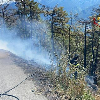 Monpantero, vigili del fuoco intervengono per spegnere un incendio boschivo