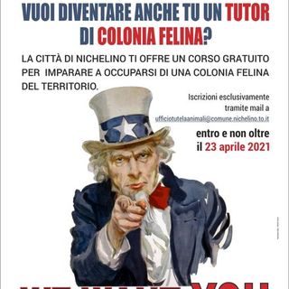 locandina Nichelino