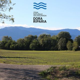 Zona Naturale Salvaguardia Dora Riparia