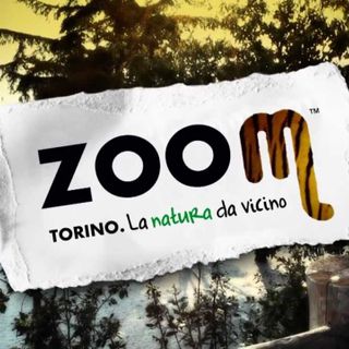 &quot;Zoom al parco Michelotti di Torino? L'intenzione è di andare avanti&quot;
