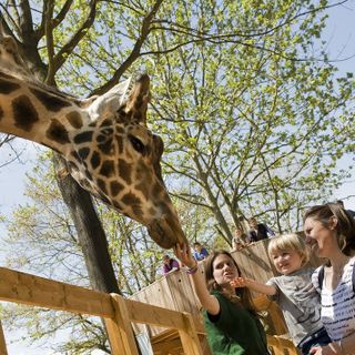 Vacanze di Pasqua 2018 al bioparco ZOOM Torino