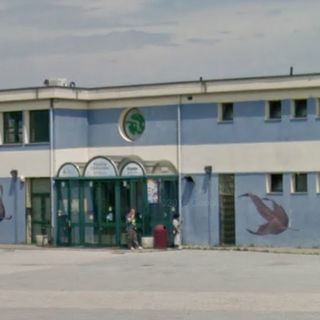 Lite tra sindacalisti alla piscina di Pinerolo finisce al Pronto soccorso