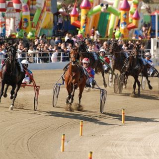 Si apre la nuova stagione delle corse al trotto all’ippodromo di Vinovo