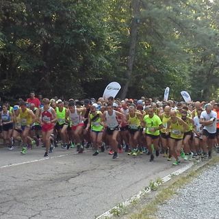 Torino, successo per la prima edizione della #GreenTOur