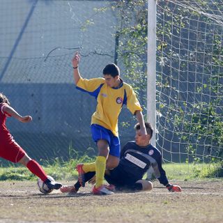 Giovanili regionali - Ecco tutti i gironi