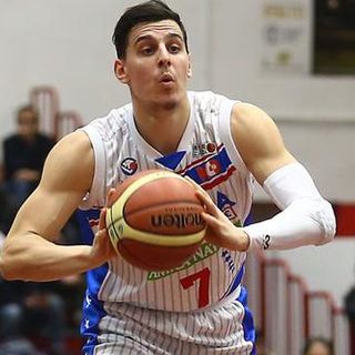 Mirza Alibegovic