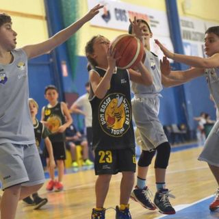 Minibaslet Crocetta: tutto quello c'è da sapere per iscriversi Minibaslet Crocetta: tutto quello c'è da sapere per iscriversi