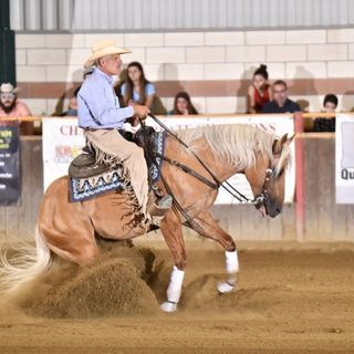 Dal 2 al 7 luglio, al Centro Ippico “La peschiera” di Caluso il Campionato Italiana a squadre di Reining