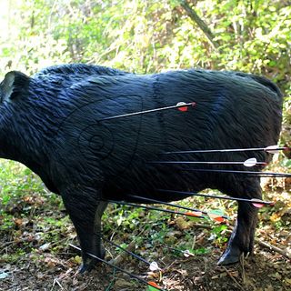 Mondiali 3D, gli arcieri piemontesi convocati