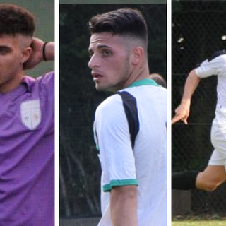 Ben Mannai, Cestone e Persiano del Lascaris