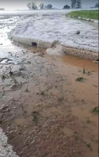 Grandinate sulla zona Sud del Torinese, ingenti danni alle colture Grandinate sulla zona Sud del Torinese, ingenti danni alle colture