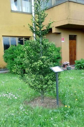 Centrale del Latte, "Un dono per tutti" ha raccolto ben 6000 regali per i bimbi meno fortunati Centrale del Latte, "Un dono per tutti" ha raccolto ben 6000 regali per i bimbi meno fortunati