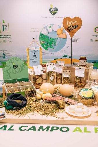 Conduzioni Agricole Forte lancia il Vision Lab, un nuovo spazio per la sostenibilità e difesa della tradizione