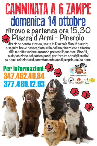 Uomo-Cane a spasso insieme: è la "Passeggiata a sei zampe" Uomo-Cane a spasso insieme: è la "Passeggiata a sei zampe"