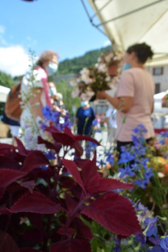 AgriFlor dà il benvenuto all'autunno con il suo quarto appuntamento domenica 27 settembre AgriFlor dà il benvenuto all'autunno con il suo quarto appuntamento domenica 27 settembre