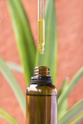 Camomilla, olio di cocco e cannabidiolo: ecco la triade della bellezza naturale