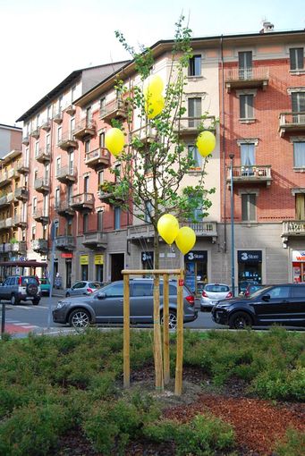Corso Belgio in verde con “Regala un albero alla tua città”