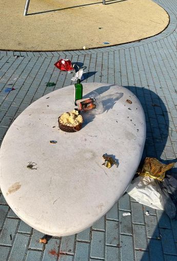 A Moncalieri il Giardino della Luna trasformato in una discarica A Moncalieri il Giardino della Luna trasformato in una discarica