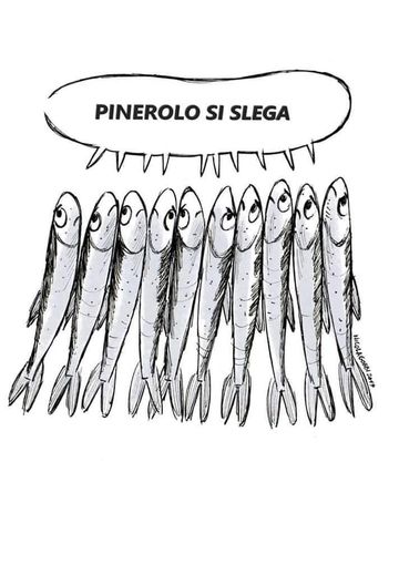 Anche “Pinerolo si slega”: domani le sardine in piazza Facta Anche “Pinerolo si slega”: domani le sardine in piazza Facta