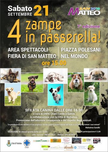 A Nichelino torna l'appuntamento con &quot;Quattro zampe in passerella&quot;