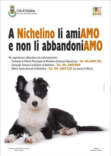 Il Comune di Nichelino scende in campo contro l'abbandono degli animali