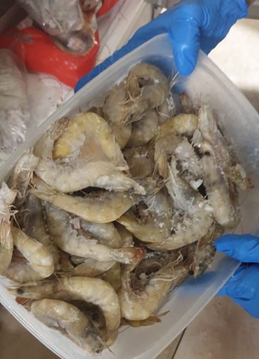 pesce mal conservato