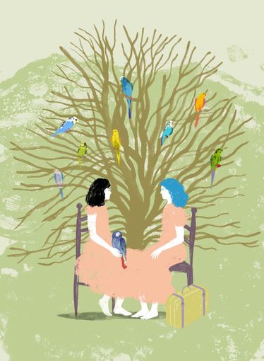 Aspettando la quinta edizione di ContemporaneA: gli incontri al Circolo dei Lettori