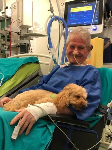 Tutte le foto sono tratte dalla pagina Facebook "UAM Umanimalmente" Tutte le foto sono tratte dalla pagina Facebook "UAM Umanimalmente"