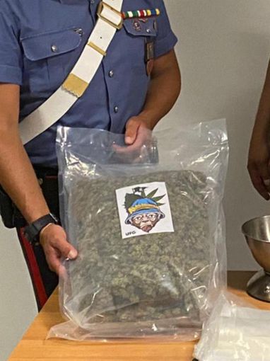 Collegno, sfugge all'alt con un chilo di marijuana in auto, ma si scontra contro un'altra vettura