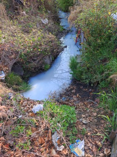 canale inquinato canale inquinato