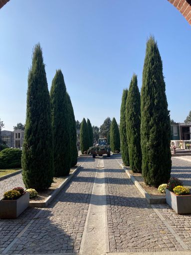 Il cimitero di Chivasso Il cimitero di Chivasso