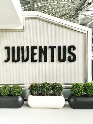 Juve e il cambio in porta. Di Gregorio dà sicurezza? Juve e il cambio in porta. Di Gregorio dà sicurezza?