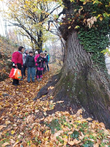 Il ‘Sentiero dei Presepi’