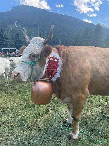 La Miss Mucca Risulin