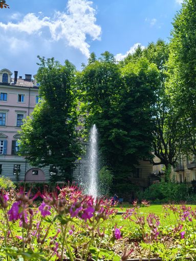 Appuntamenti al giardino di Palazzo Cisterna