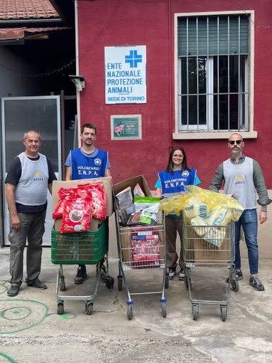 Tante le persone pronte a dare una mano agli animali abbandonati